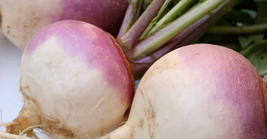 What a turnip can teach us about creative design and marketing